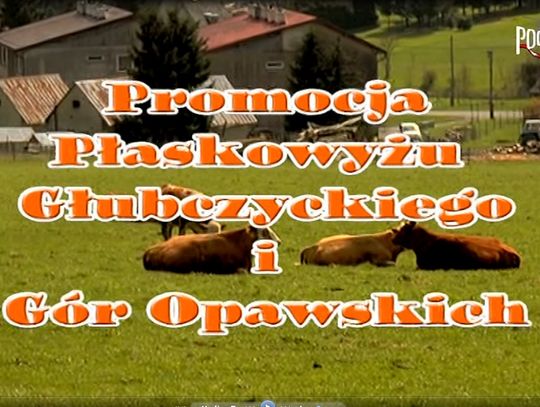 Promocja Płaskowyżu Głubczyckiego i Gór Opawskich
