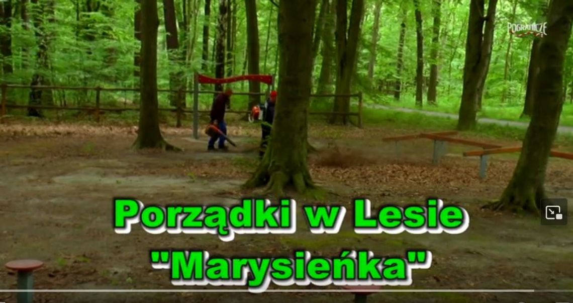 Porządki w Lesie Marysieńka